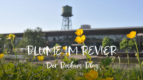 Zwei neue Kommunikationskanäle für Bochum Marketing - Der Blog von Bochum Marketing soll zeigen, dass Bochum eine Blume im Revier ist - Foto: Stadt Bochum, Lutz Leitmann