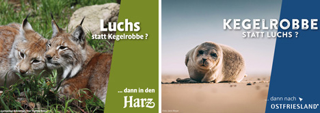 Harzer Tourismusverband und Ostfriesland Tourismus kooperieren - Die Kampagnenmotive sind immer mit der Frage nach der jeweiligen Vorliebe des Gastes verbunden und spricht gleichzeitig eine klare Empfehlung entweder für Ostfriesland oder den Harz als Reiseziel aus; Foto: Ostfriesland Tourismus/Harzer Tourismusverband