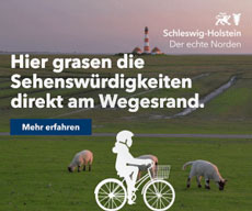 Tourismus-Agentur Schleswig-Holstein setzt Radfahren digital in Szene - Die animierten Bilder der Radfahrkampagne werden über Social Media ausgespielt - Foto: TA.SH