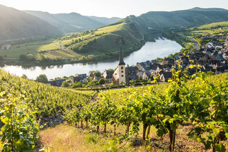 RPT launcht Jahreskampagne "Schatzkammer Rheinland-Pfalz" - Zu den touristischen Highlights gehört die Moselschleife mit den Rebhängen - Foto: Rheinland-Pfalz Tourismus