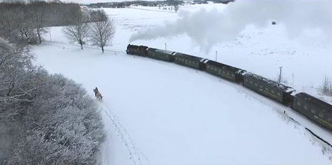 Sächsischer Film "Und wovon träumst du?" erhält "Goldenes Stadttor" - Screenshot aus dem Film "Und wovon träumst du?", eine Hommage an den Klassiker "Drei Haselnüsse für Aschenbrödel"