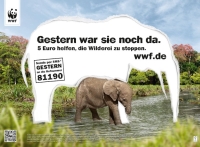 WWF ruft zu Spenden auf -