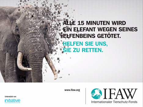Initiative startet Pro-Bono-Kampagne gegen Wildtierhandel - Mit unterschiedlichen Plakaten machen IFAW und Initiative auf den illegalen Wildtierhandel aufmerksam; Foto: Initiative Media GmbH/IFAW